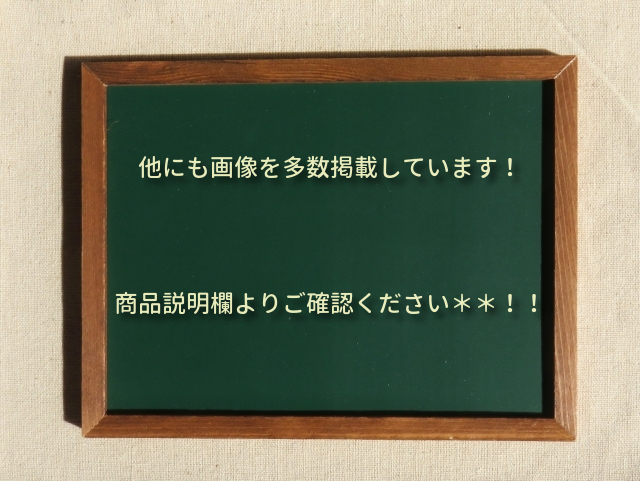 8）ミドリ安全 メッシュハーネス MHFシリーズ ツヨロン 安全フックセット 新品同様　Lサイズ_画像2