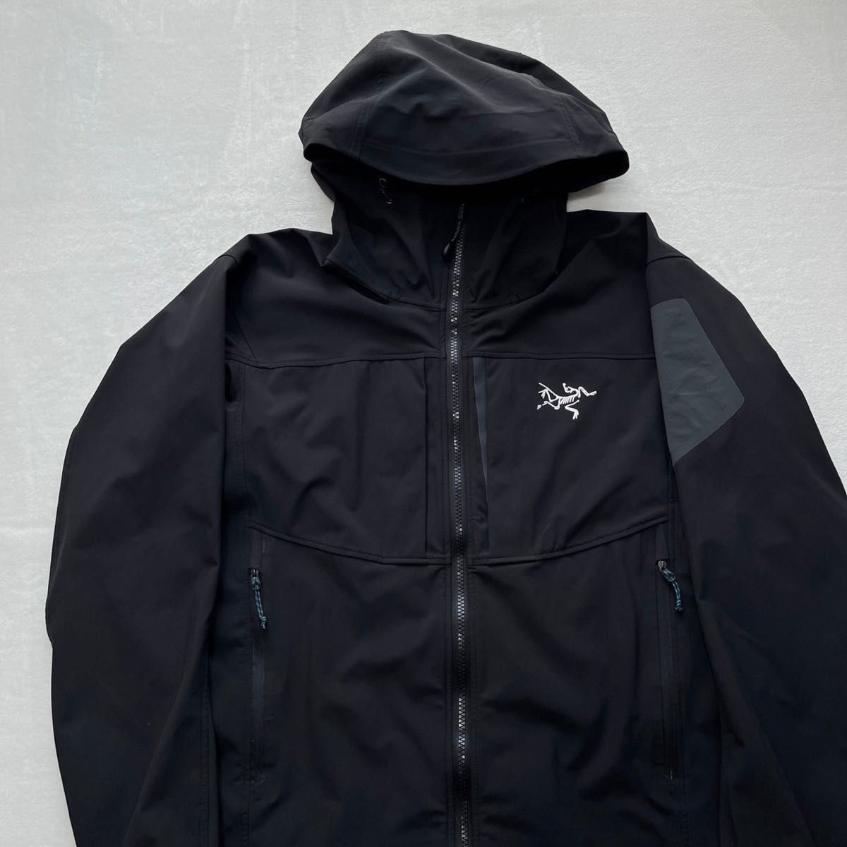 【極美品】ARC'TERYX アークテリクス Gamma MX Hoody M