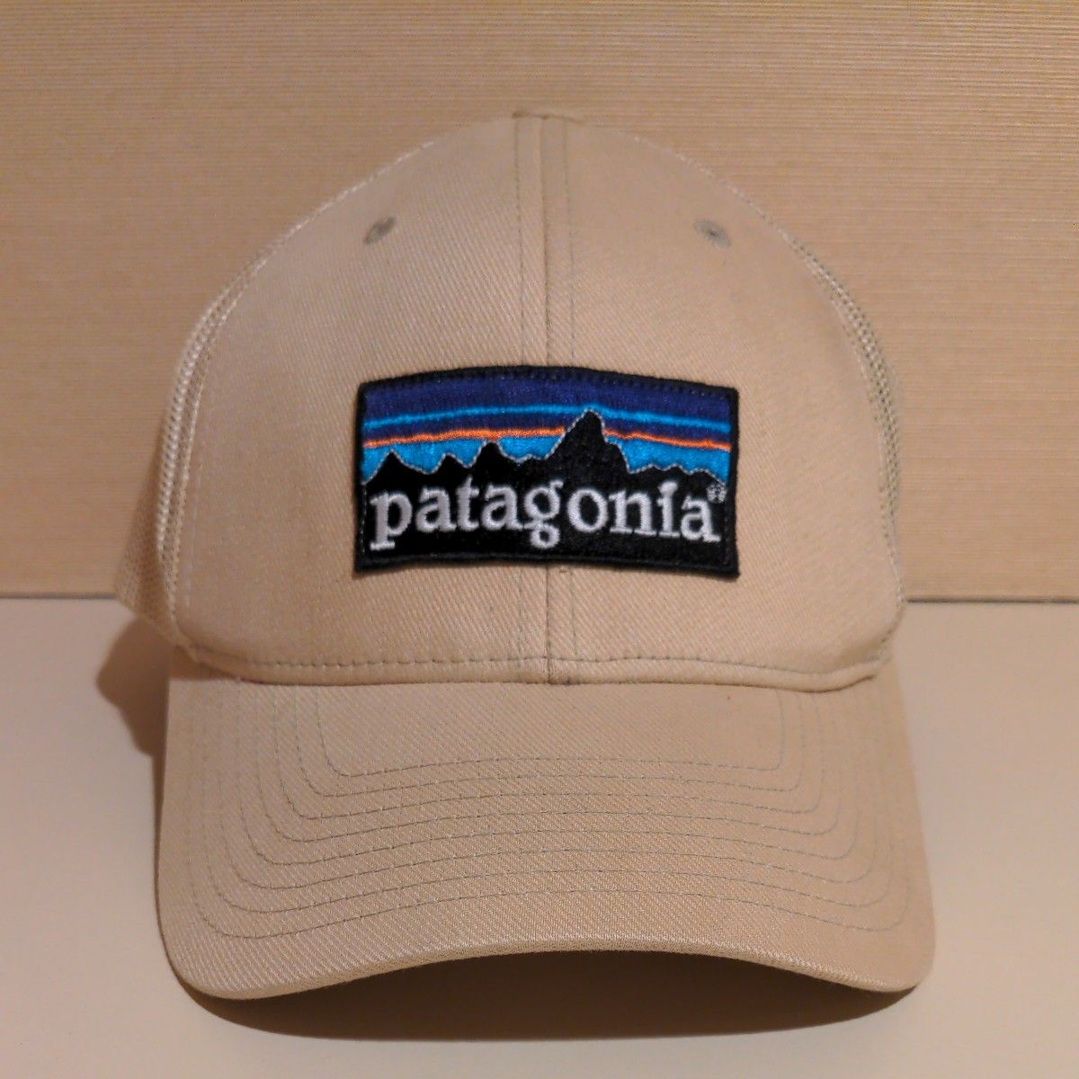初期 パタゴニア トラッカーハット ALL 2008年製 29035 trucker hat worn wear