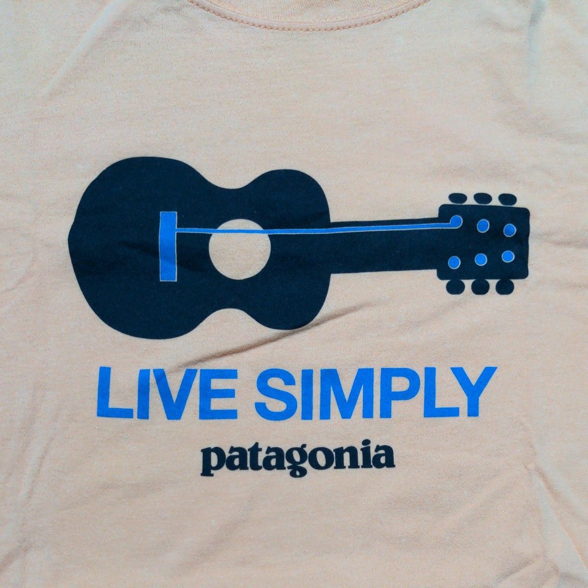 パタゴニア Tシャツ キッズ XXL patagonia wornwear 62151SP19 LSPS メキシコ製