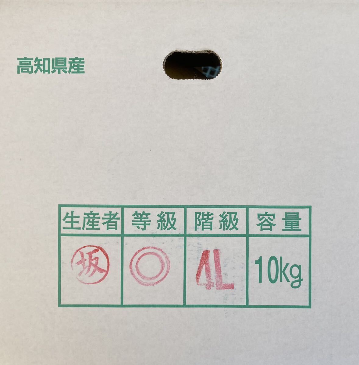 オトナの味！高知県産 土佐文旦『爽やかな甘みと程良い苦み』3L～5L 約10kg（箱込）『ブランド果実』②_画像8