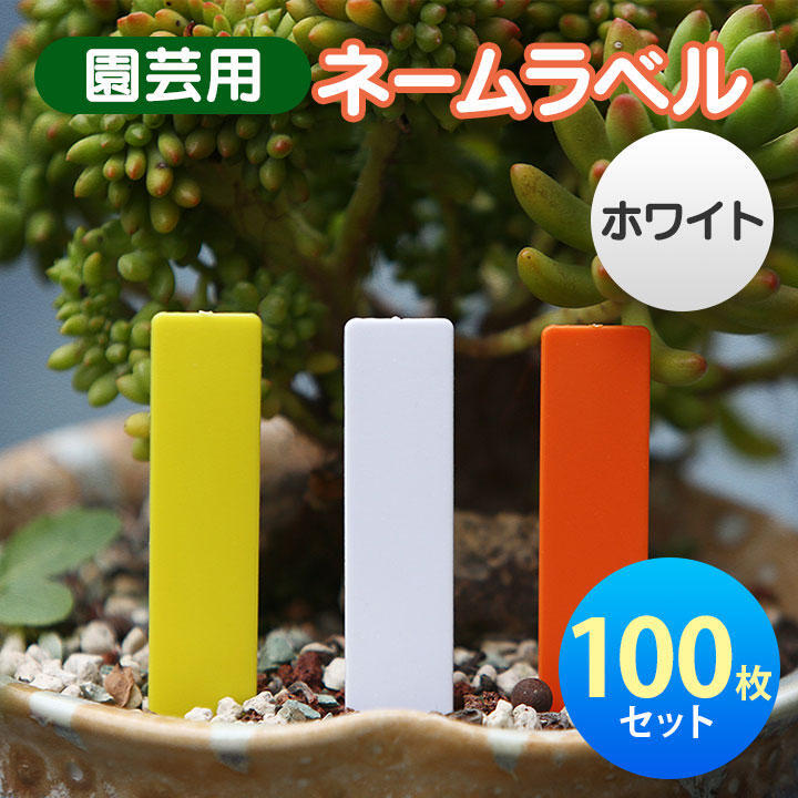 ネームラベル 植物 園芸 多肉植物 サボテン 花 鉢植え 家庭菜園 白 100枚_画像1