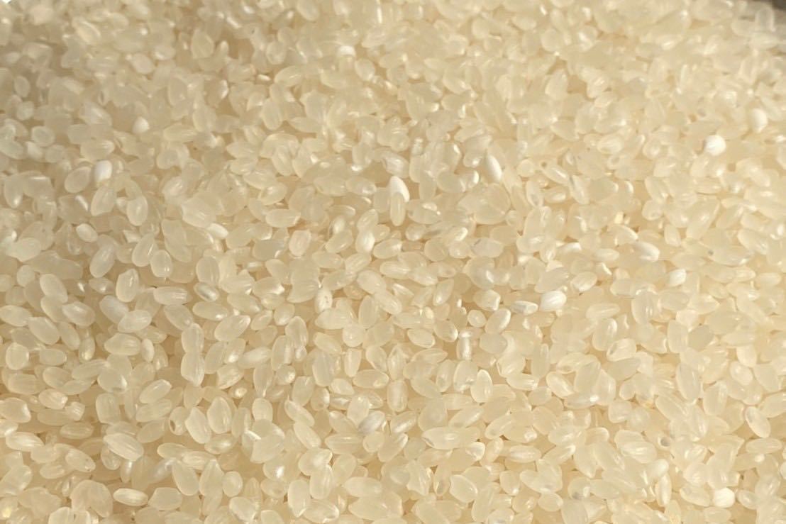栃木産 白米 お米 限定 うるち米 格安 精米 10kg 令和5年 送料無料 送料込み 最安値 rice 新米 無洗米 美味しいの画像2