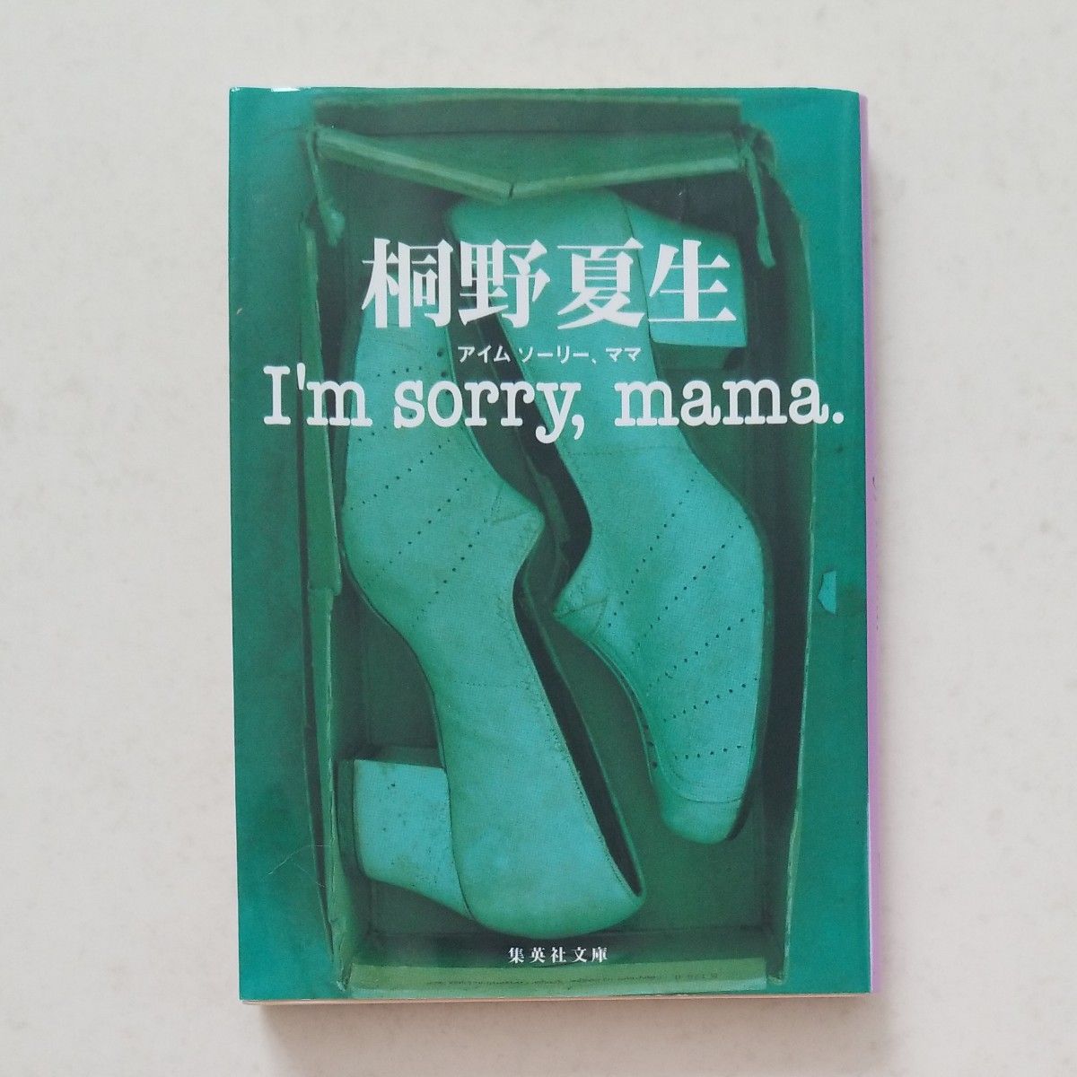 Ｉ’ｍ　ｓｏｒｒｙ，ｍａｍａ （集英社文庫　き１６－２） 桐野夏生／著