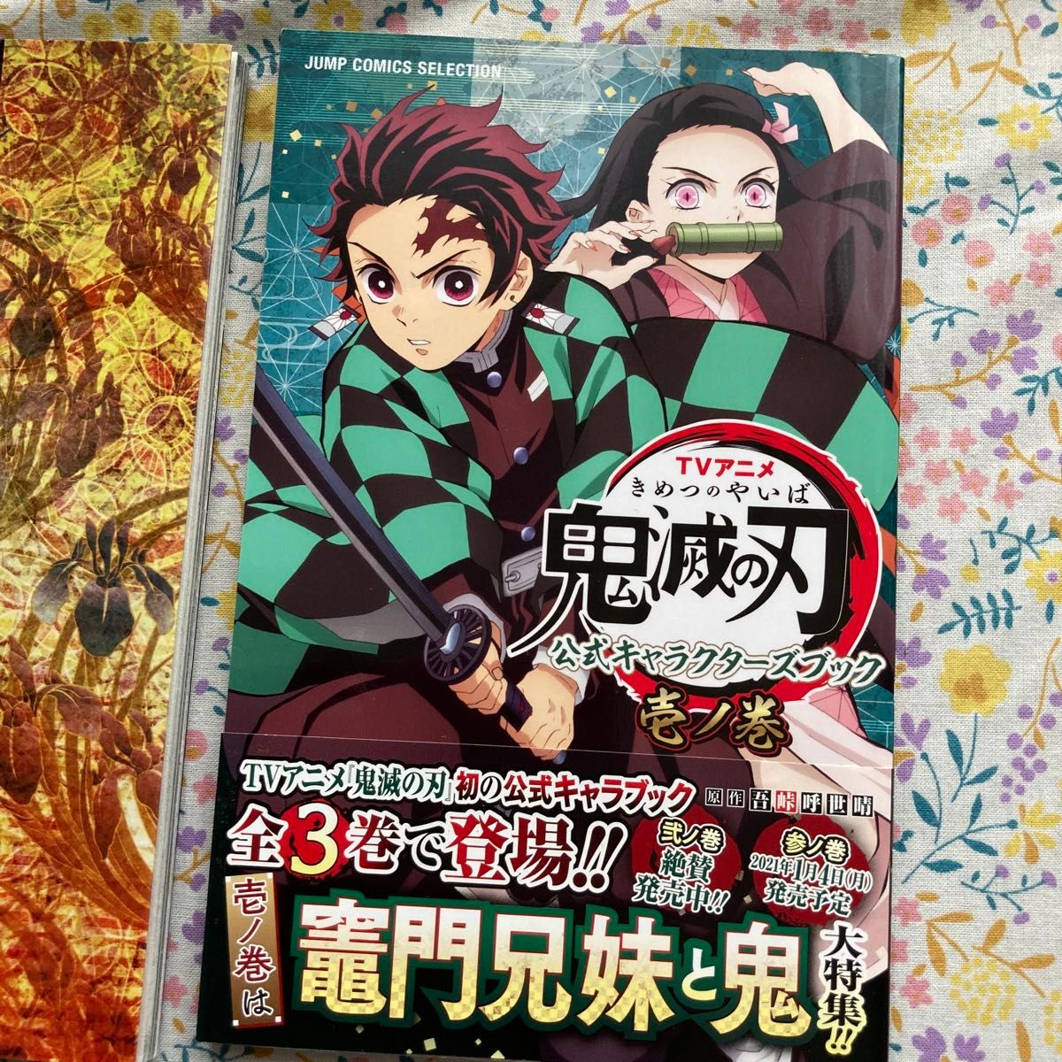 鬼滅の刃 画集壱 弍 幾星霜 漫画1〜23巻 公式キャラクターズブック1.2.3 鬼滅の刃 画集壱 弍 幾星霜 漫画1〜23巻 公式キャラクターズ