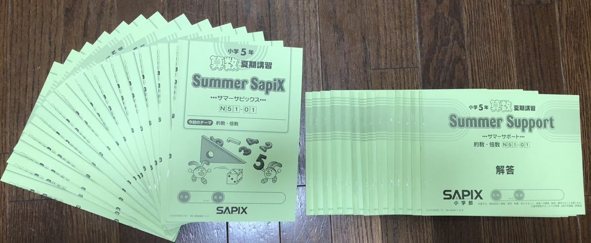 SAPIX 小学5年生算数 夏期講習セット サマーサピックス＆サマーサポート 合計28冊 サピックス 中学受験 書き込みなく綺麗な状態_画像1