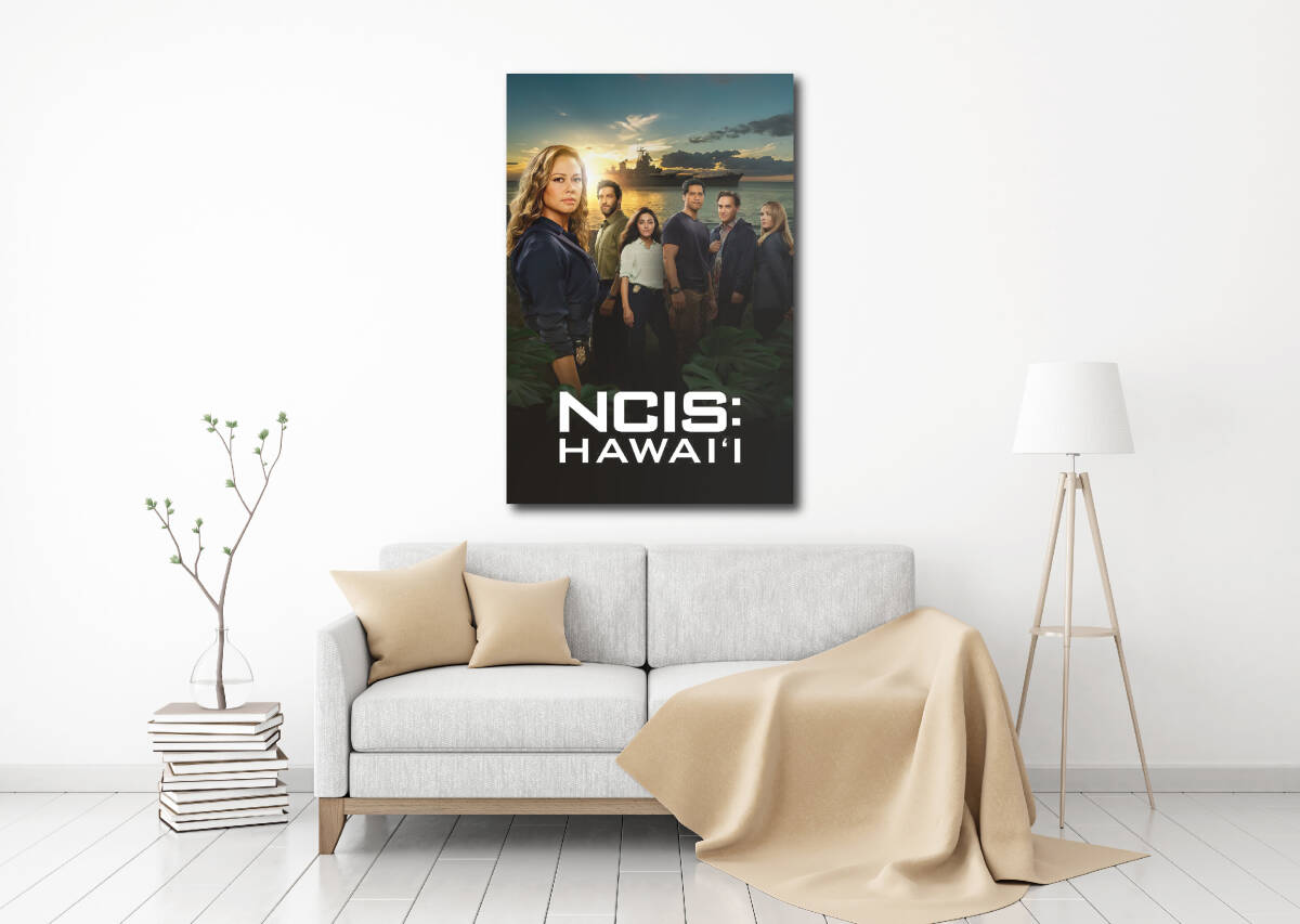 新品 NCIS HAWAII タペストリー ポスター /218/ 映画ポスター 壁 ガレージ装飾 フラッグ バナー 看板 旗 ポスター の画像2