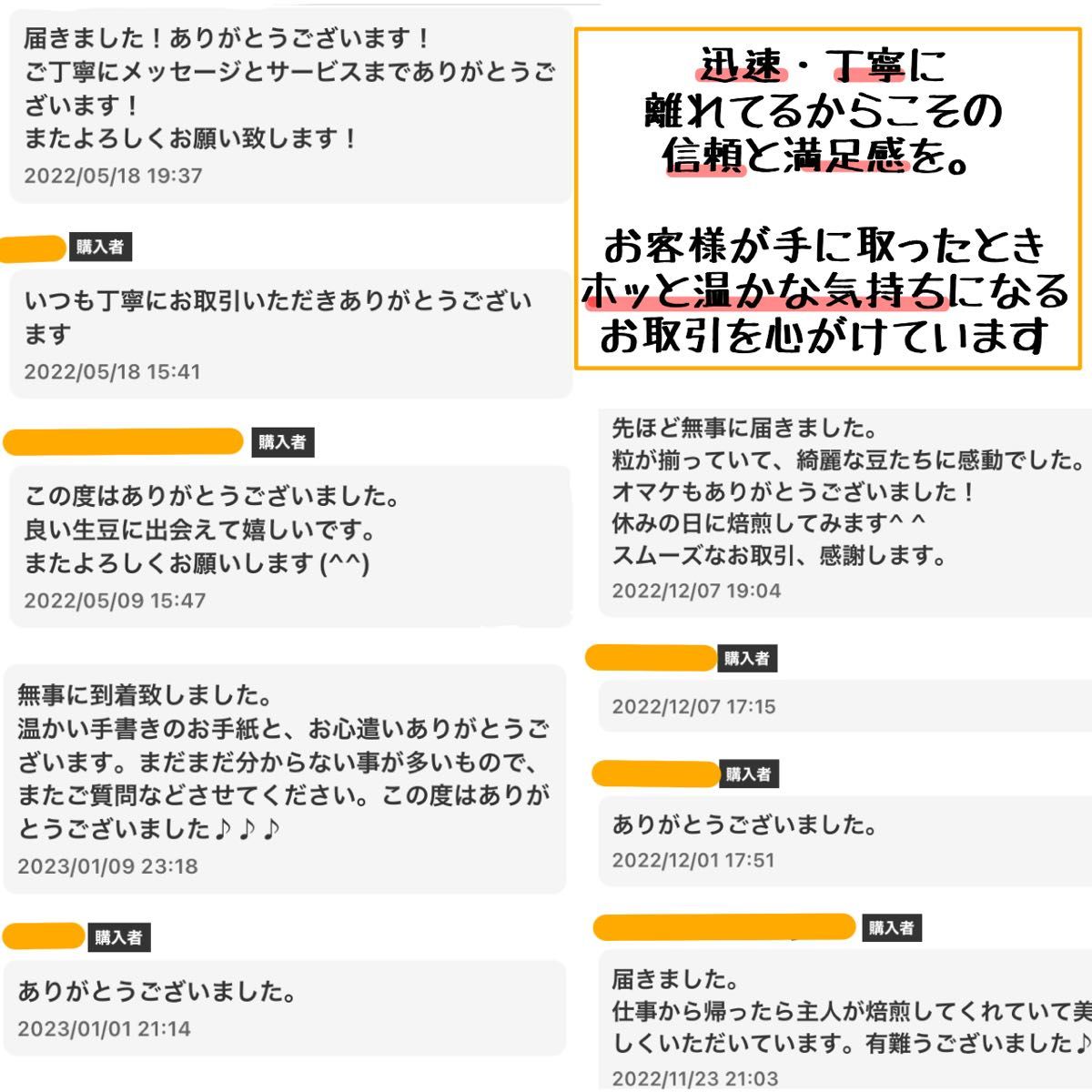 生豆 コーヒー 珈琲豆 自家焙煎 スペシャリティ ベトナム ルビーマウンテン 厳選 