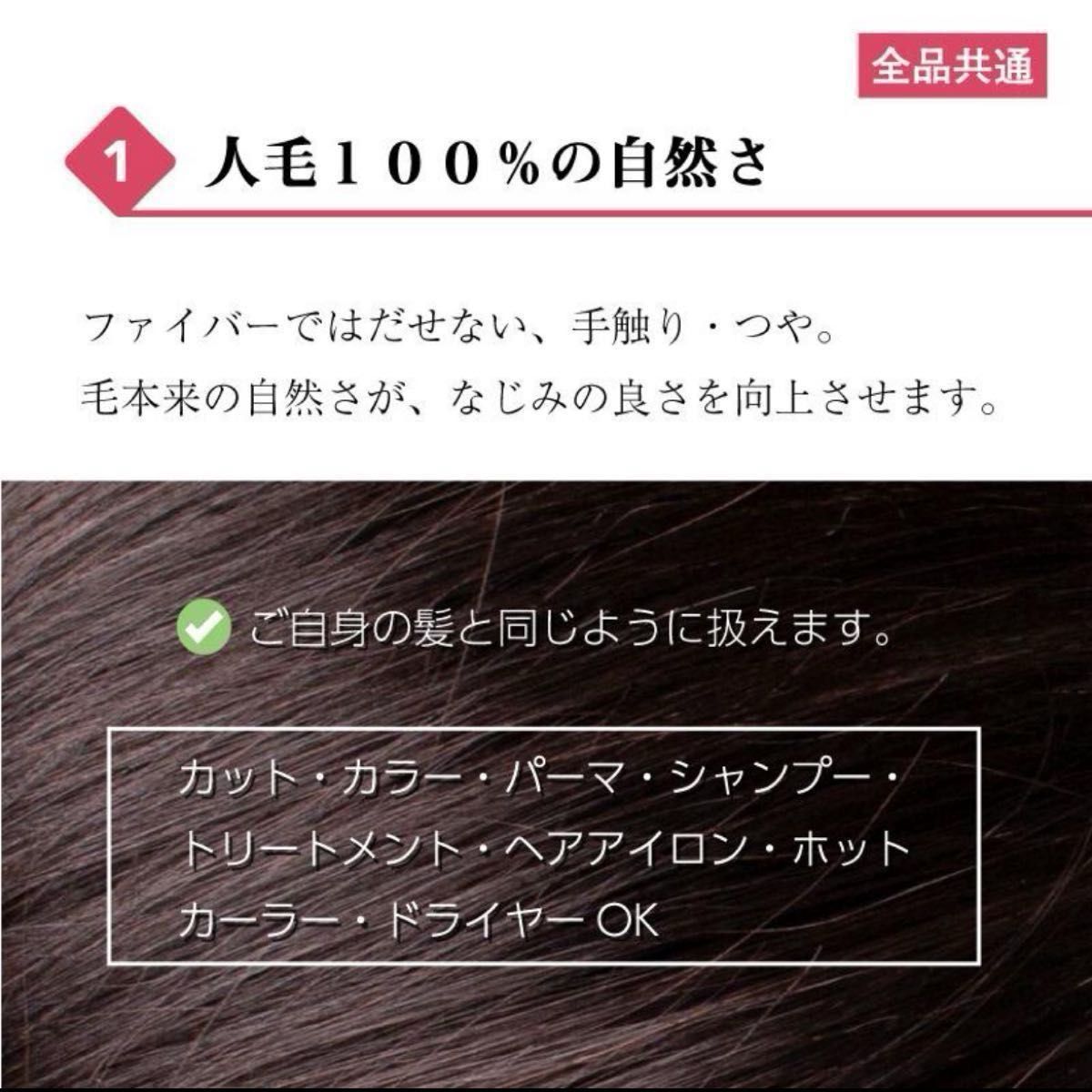 Reju 部分ウィッグ 人毛100% 総手植え ヘアピース 薄毛 白髪隠し 分け目 つむじ 女性用 脱毛 デイリートップウィッグM