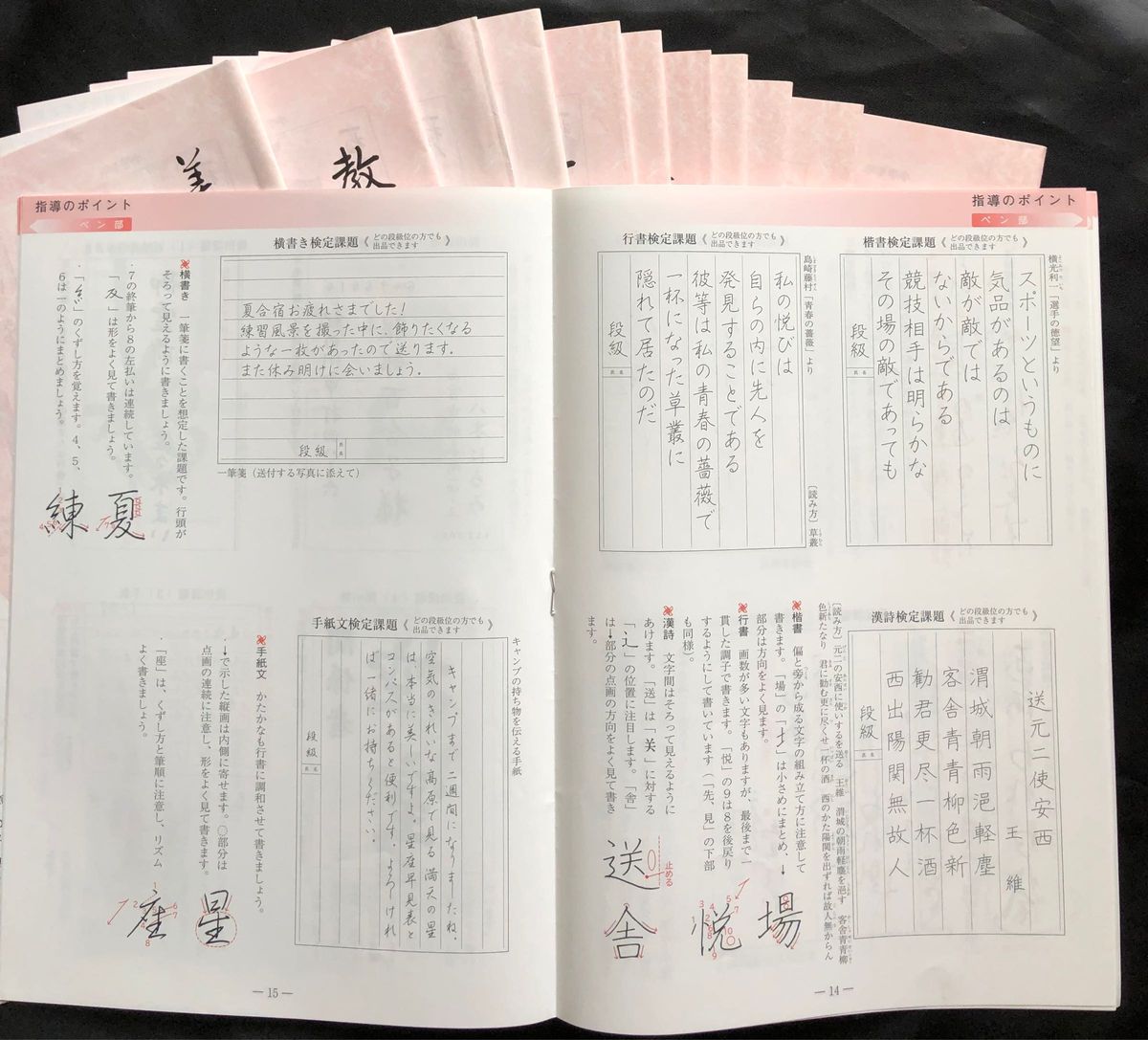 【日本習字】教師月報　2020年度　12冊