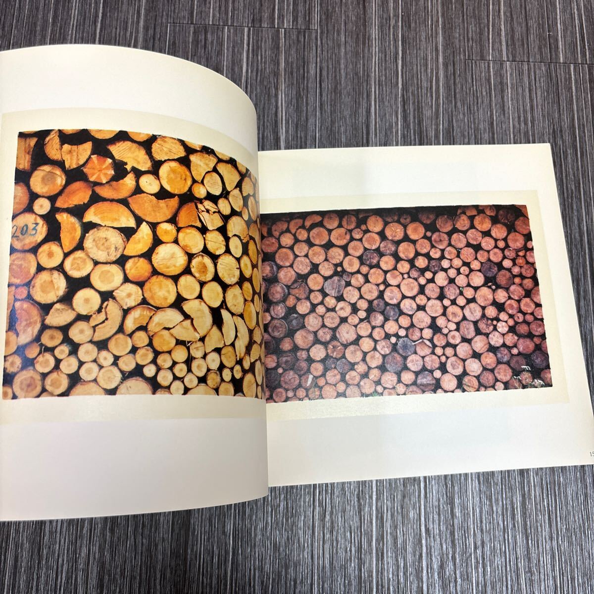 * hard-to-find! rare * foreign book Stacking Wood/Mimi Lipton,Thorsten Duser/ ear *lip ton / material tree / photoalbum / art / art / fine art / work compilation / English *433-2