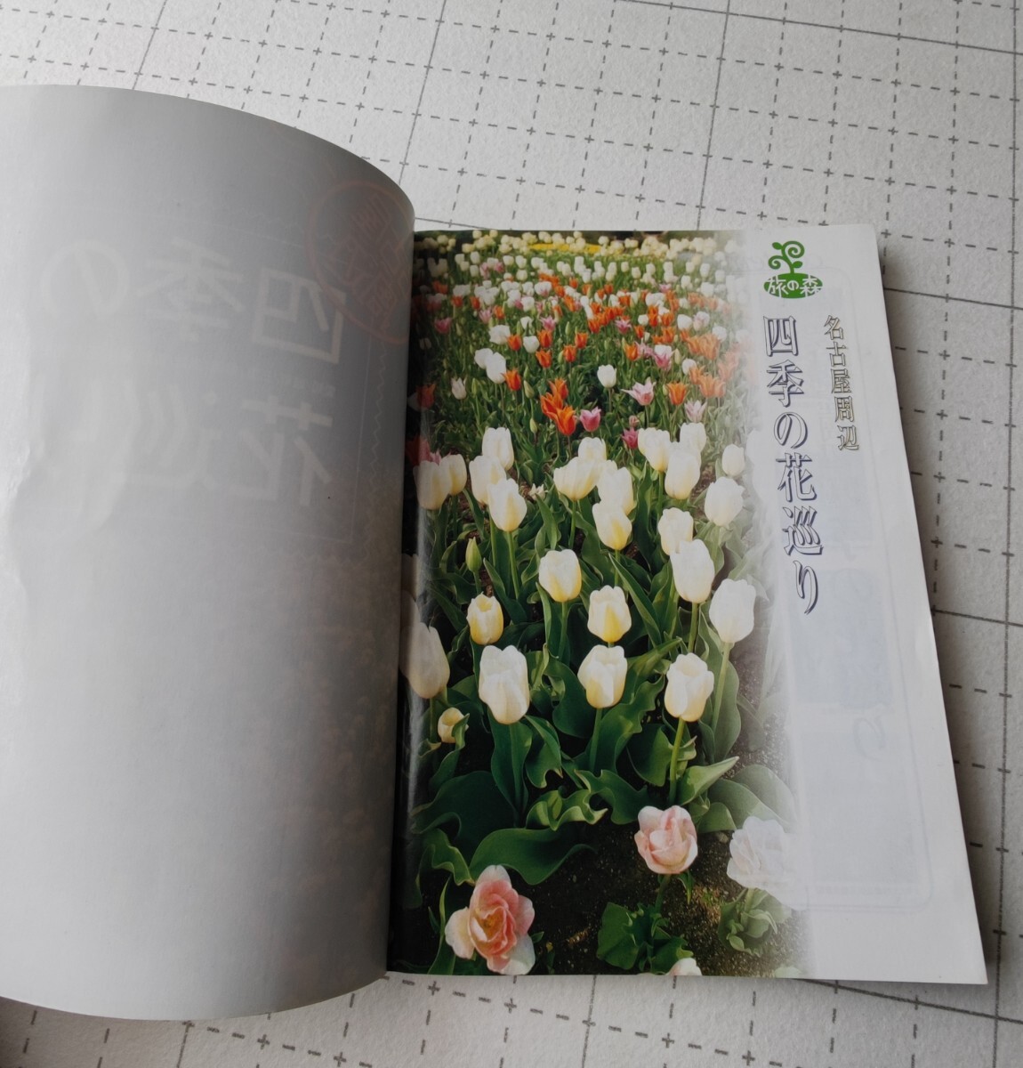 名古屋周辺　四季の花巡り　本　2001年_画像3