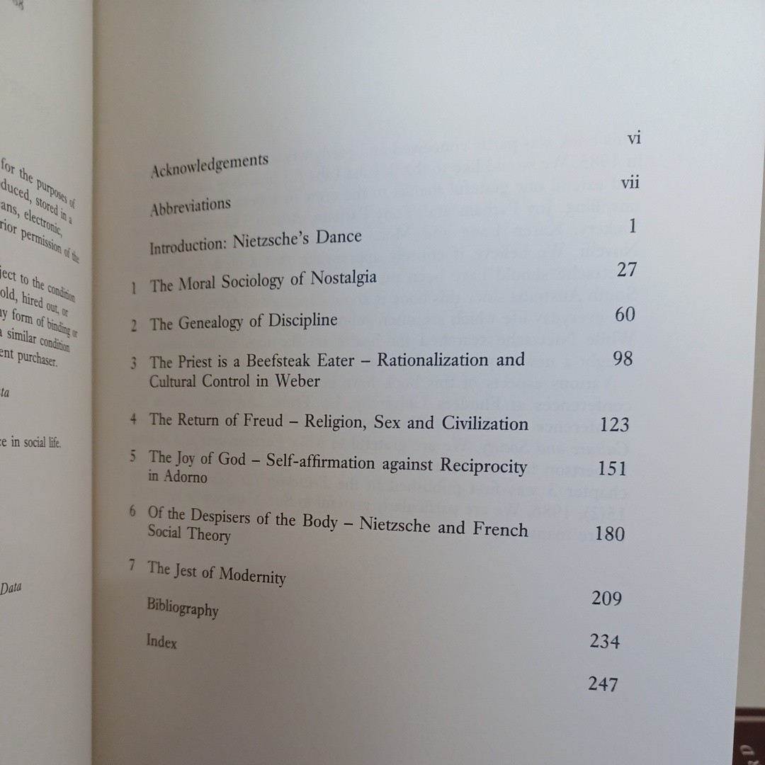 洋書　ニーチェ　Nietzsche　関連本7冊　哲学 _画像6