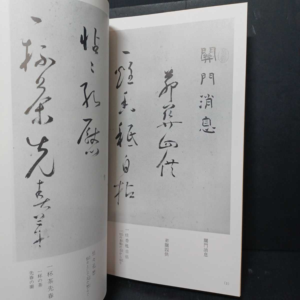 獨立禅師　横巻詩書　独立禅師　黄檗宗　唐様書　黄檗山興福寺　仏教美術　書道　ZEN　_画像3