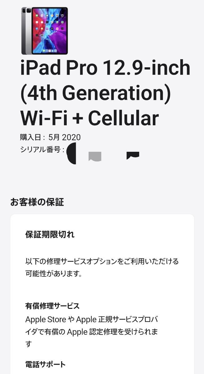 iPad Pro 12.9インチ 第4世代 256GB Wi-Fi+Cellular SIMロック解除済み ケース付き