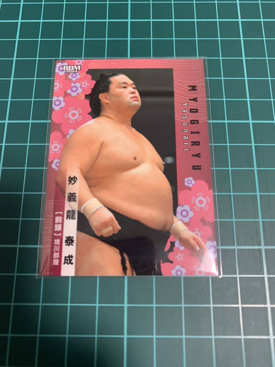 BBM2024大相撲カード 26 妙義龍泰成 _画像1