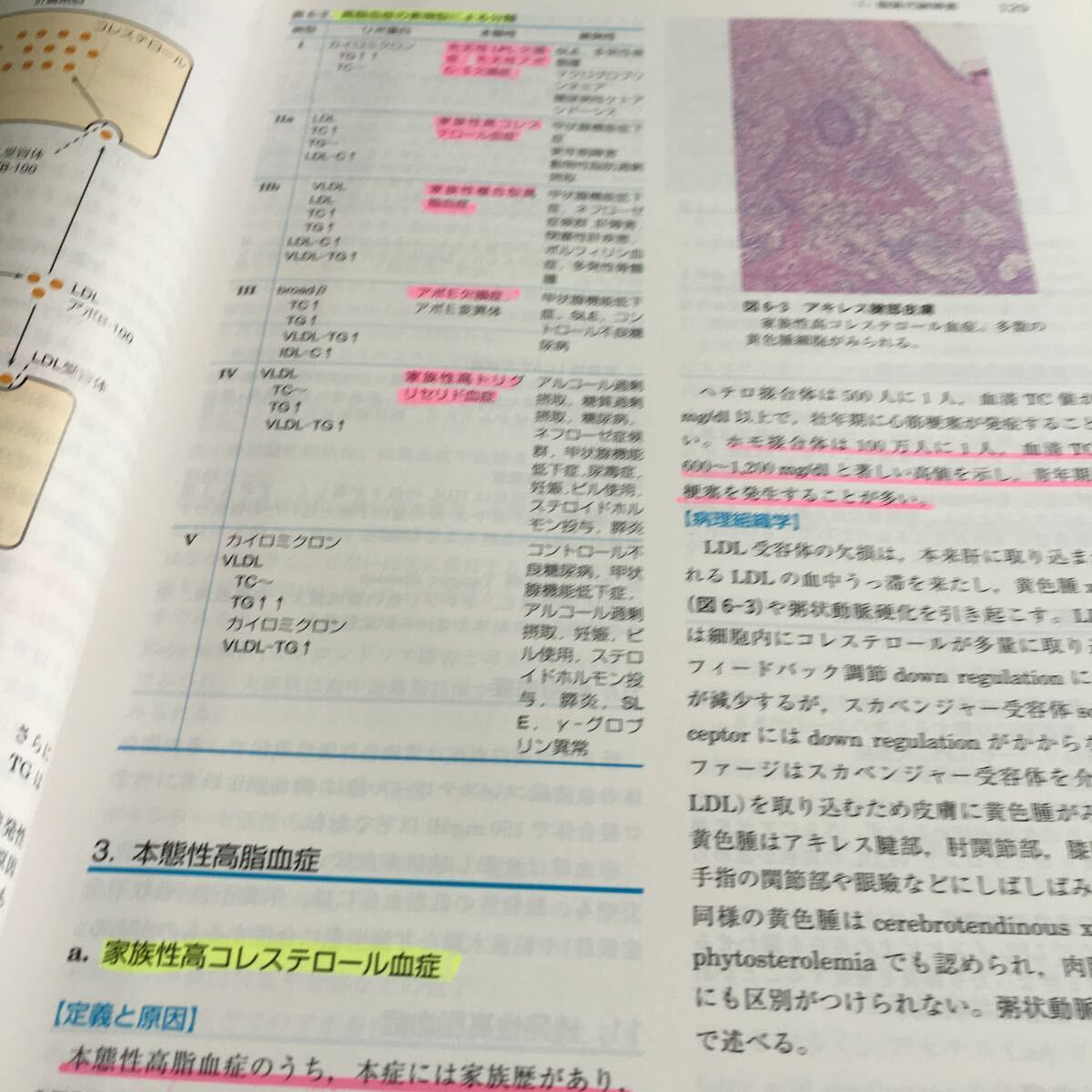 i-606 標準病理学 第2版 監修 町並陸生 編集 秦順一坂本穆彦 医学書院※10_画像5