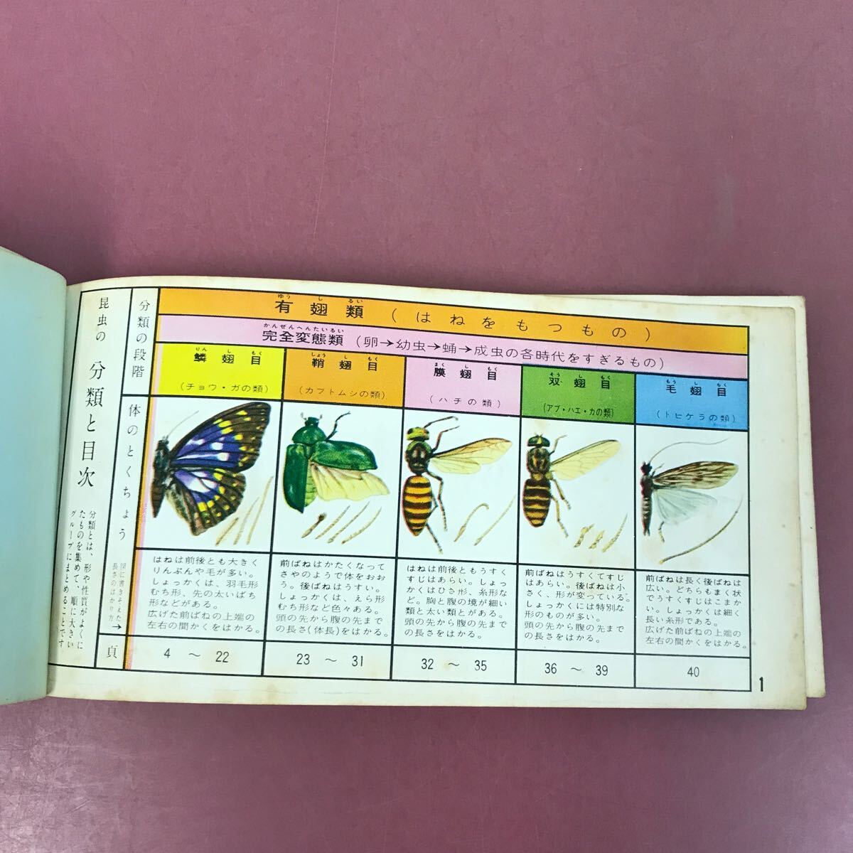 D51-012 原色図鑑 昆虫 ふじ出版 昭和レトロ 折れ、剥がれ有り_画像4