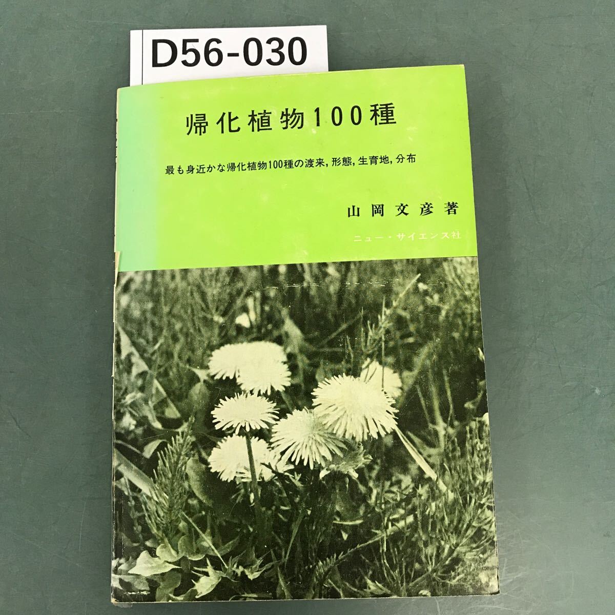 D56-030 帰化植物100種 山岡文彦 著 ニュー・サイエンス社_画像1