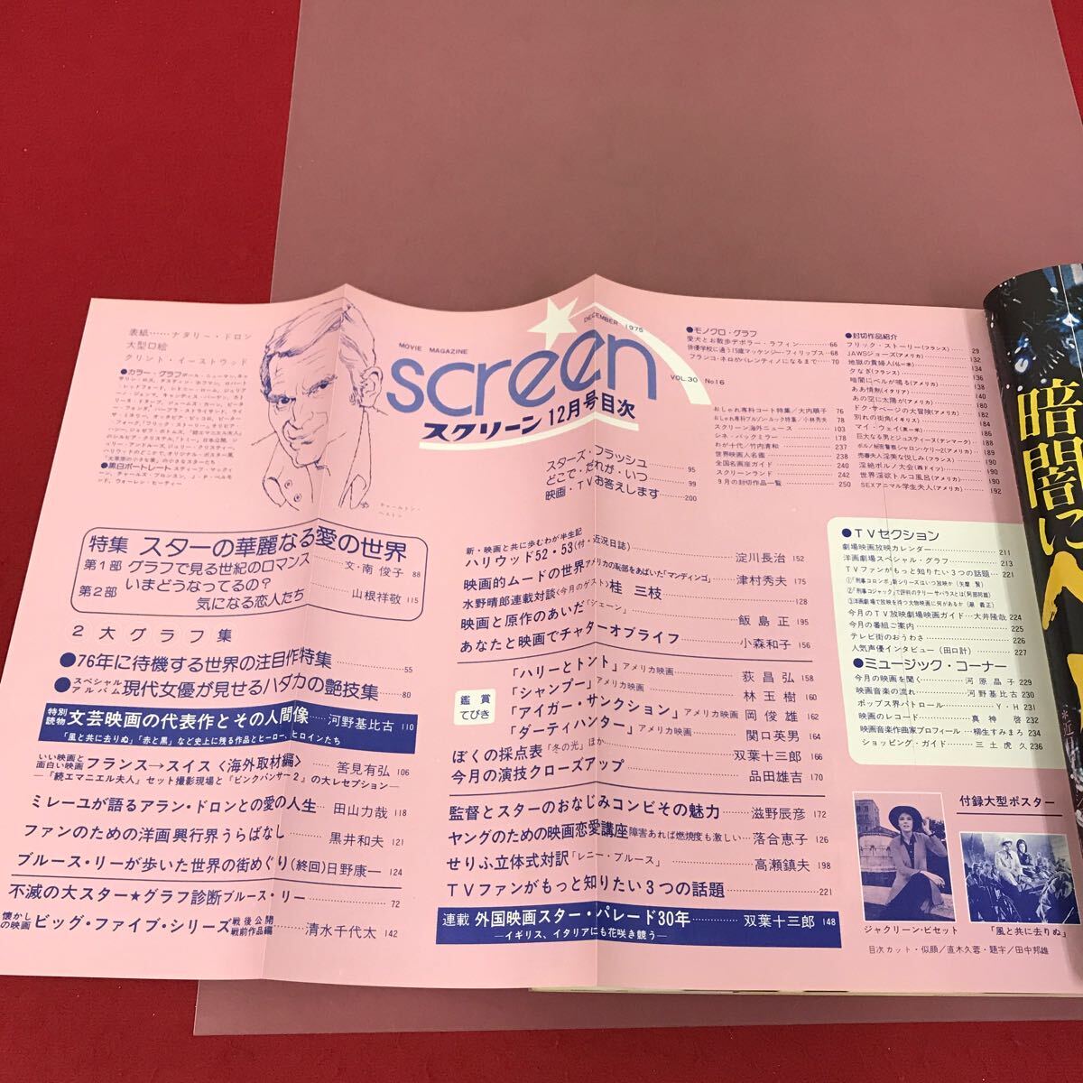 D55-118 スクリーン 1975 12月号　付録欠品　表紙　ナタリー・ドロン　76年世界の注目作　文芸えいがの代表作とその人間像　_画像4