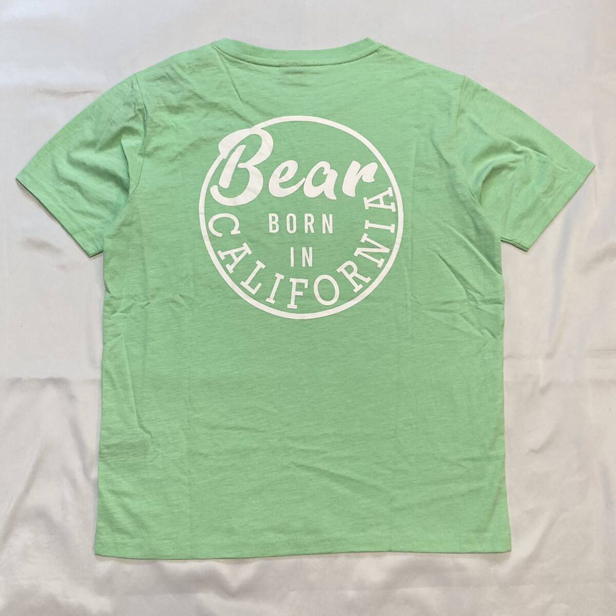 新品ベアーBEARライトグリーンの可愛い半袖TシャツSバックロゴTee