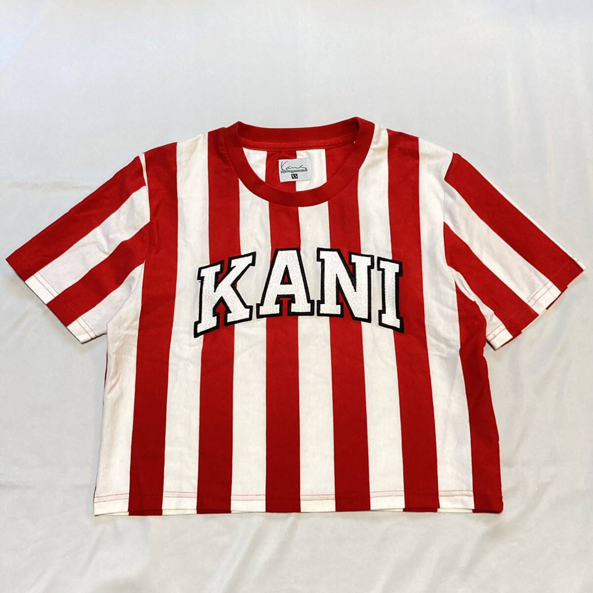  popular! Karl Kani new goods stripe pattern T-shirt KARL KANI black p height recommended free shipping 