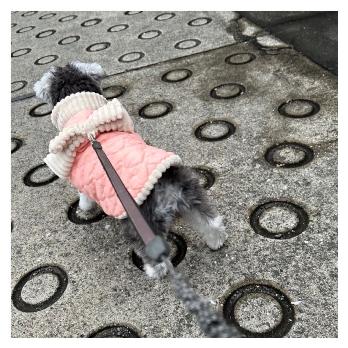 【即日発送】犬用 キルティング ベスト あたたか リボンデザイン ピンク Ｍ 犬服 小型犬 動物 散歩  犬洋服 ドッグウェア 
