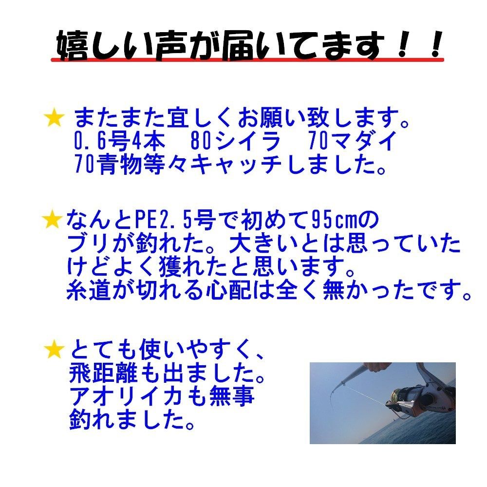 【国産】PEライン 0.8号 300m 8本編み約10m毎5色約1m毎マーク有 