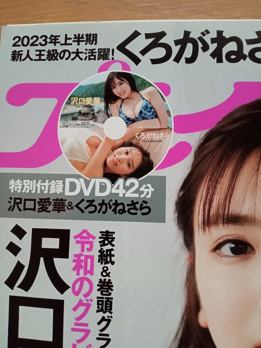 ほぼ新品★週刊プレイボーイ 2023年No.27★沢口愛華&くろがねさらDVD 白濱美兎 ぽぽちゃん◎荷物追跡あり_画像2