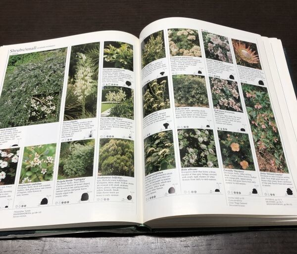 送料込! 植物図鑑 英国王立園芸協会監修 The Royal Horticultural Society Gardeners’ Encyclopedia of Plants and Flowers 洋書 希少(BOX_画像6