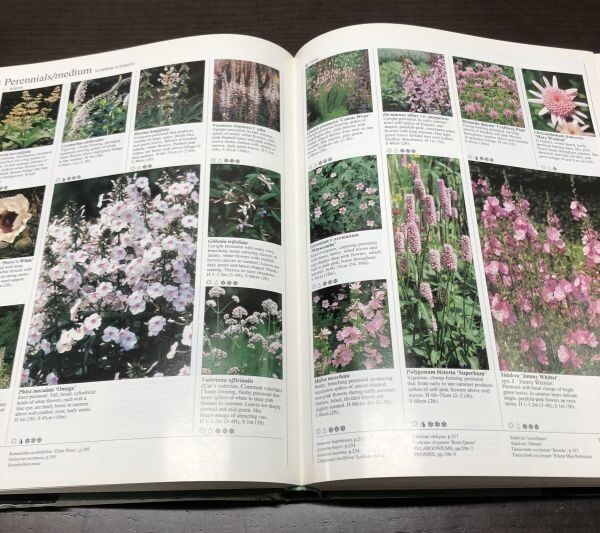 送料込! 植物図鑑 英国王立園芸協会監修 The Royal Horticultural Society Gardeners’ Encyclopedia of Plants and Flowers 洋書 希少(BOX_画像7