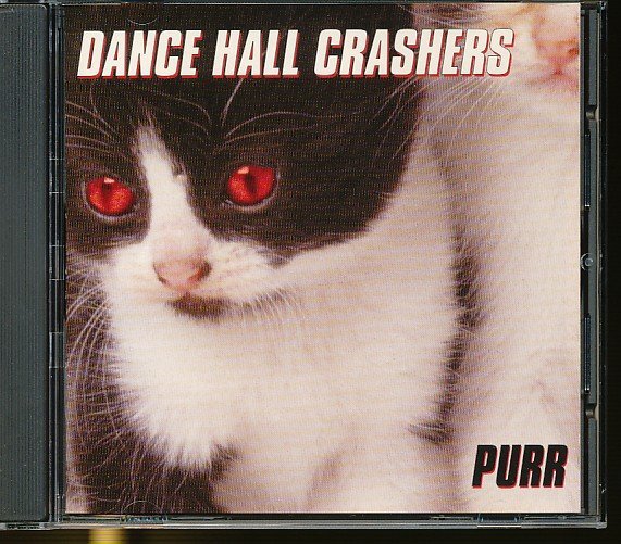 JA777●ダンス・ホール・クラッシャーズ(DANCD HALL CRASHERS)「PURR」CD_画像1
