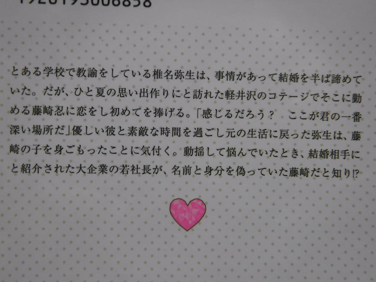 ＊ガブリエラ文庫【運命の蜜夜に溺れて　俺サマ御曹司と秘密のベビー】御堂志生_画像3