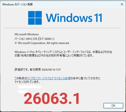 Bosexy　USBメモリ　8GB　新品　Windows11　24H2　非対応機種用　必要要件回避_画像3