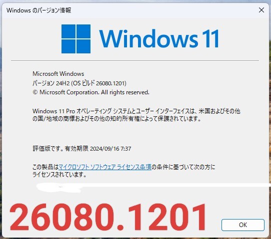 Bosexy　USBメモリ　8GB　新品　Windows11　24H2　　非対応機種用　必要要件回避_画像3