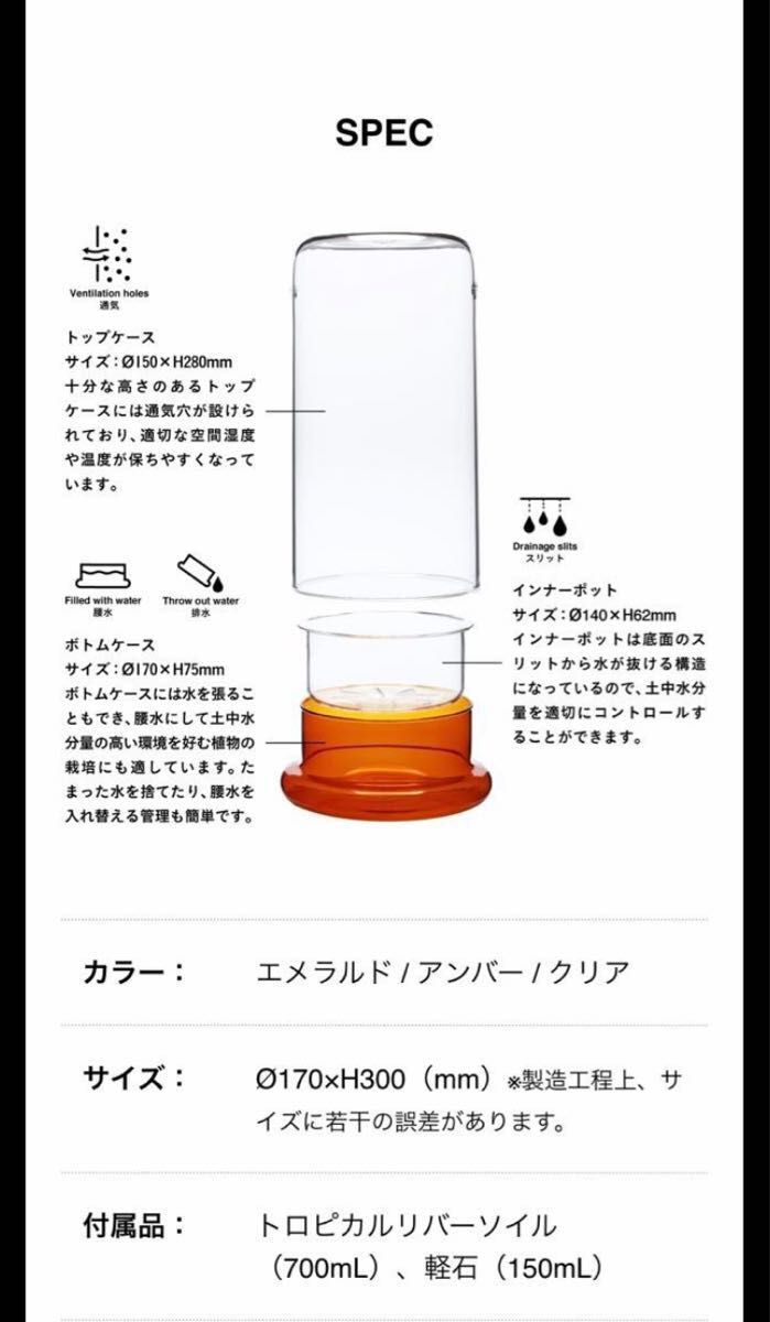 ADA  DOOA ガラスポット　CELL  セル　エメラルド