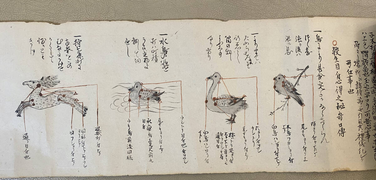 一火流砲術巻物　火縄銃古武道火縄銃による狩猟古武器古文書江戸時代狩猟_画像2