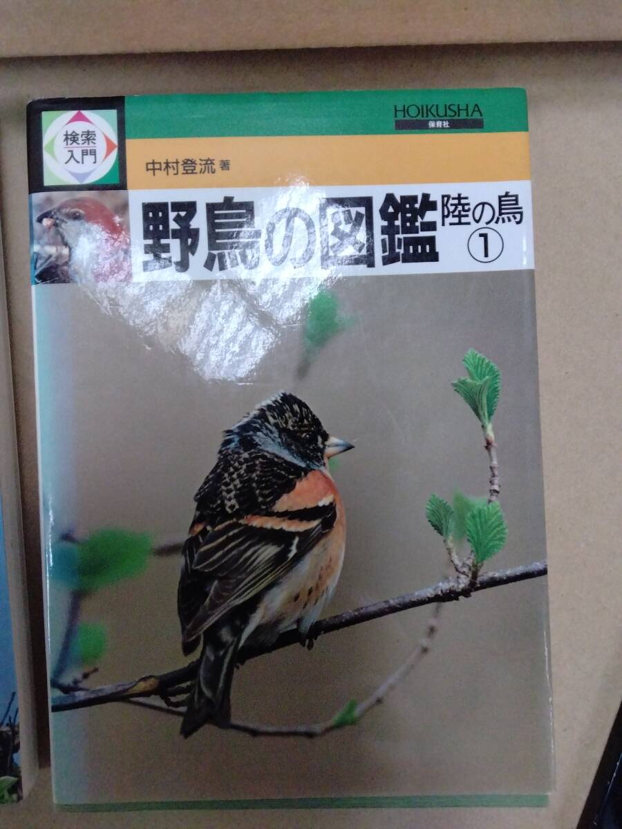 検索入門　野鳥の図鑑　陸の鳥１ 、2（検索入門シリーズ） 中村登流／著_画像2