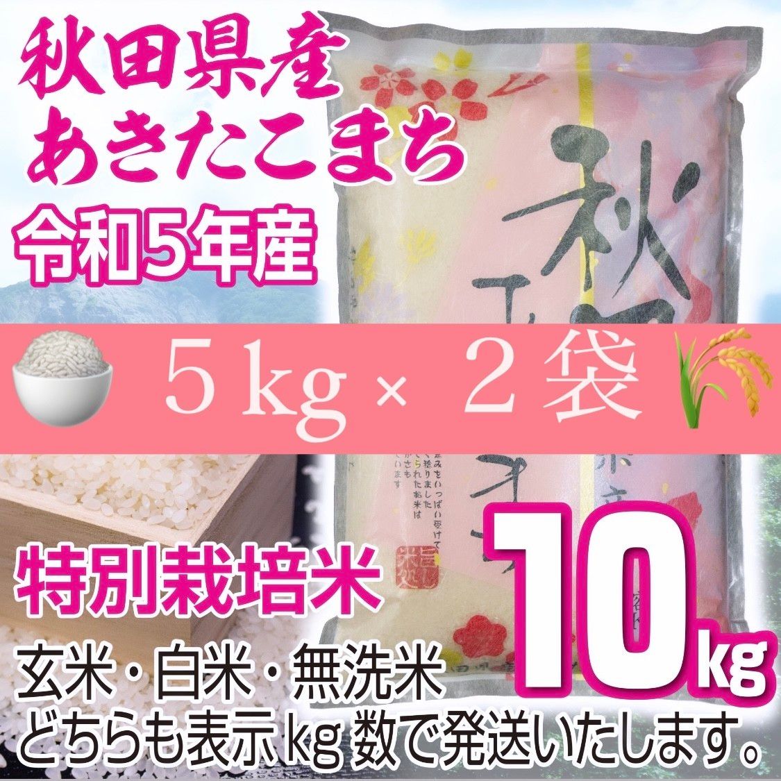 農家直送 秋田県産 令和5年 あきたこまち 10kg 特別栽培米 秋田小町 無洗米も対応