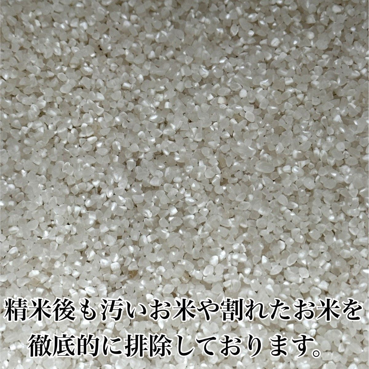 農家直送 秋田県産 令和5年 あきたこまち 8kg 特別栽培米 秋田小町 無洗米も対応