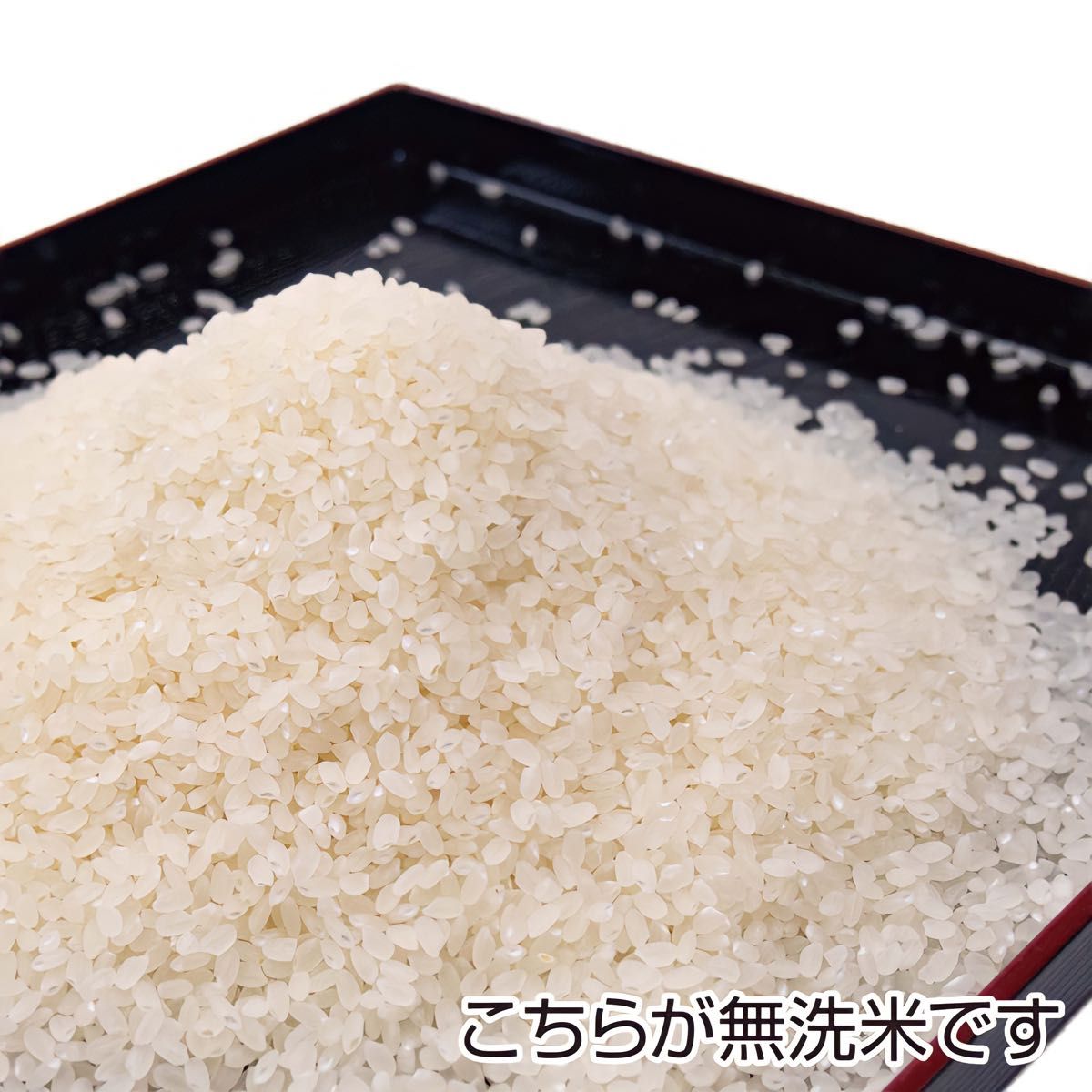 農家直送 秋田県産 令和5年 あきたこまち 5kg 特別栽培米 秋田小町 無洗米も対応
