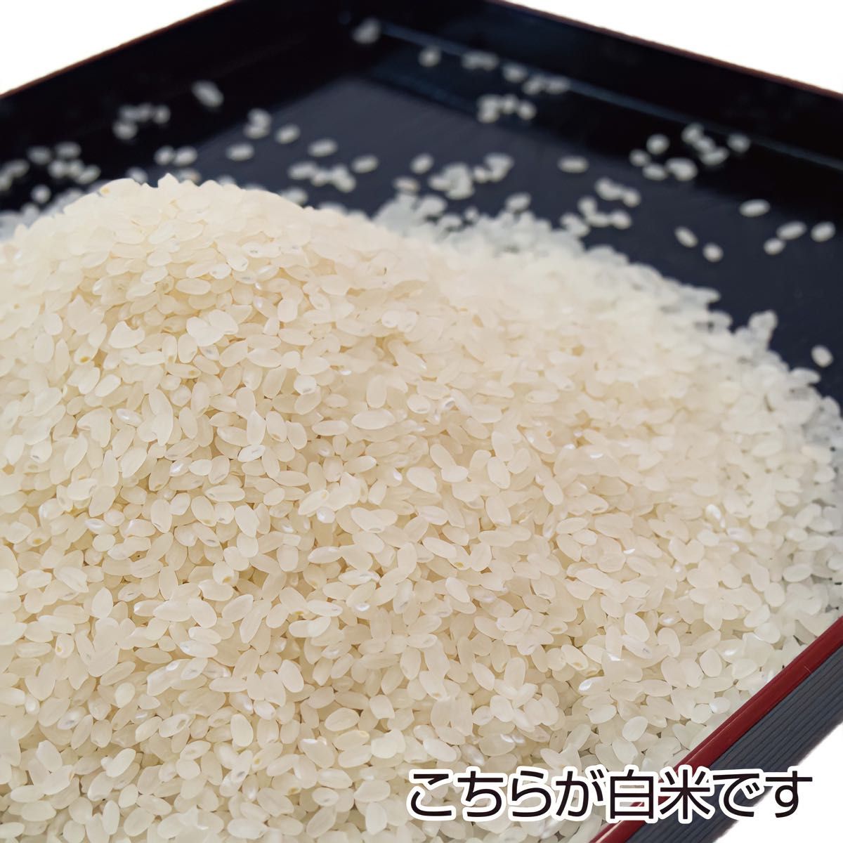農家直送 秋田県産 令和5年 あきたこまち 10kg 特別栽培米 秋田小町 無洗米も対応