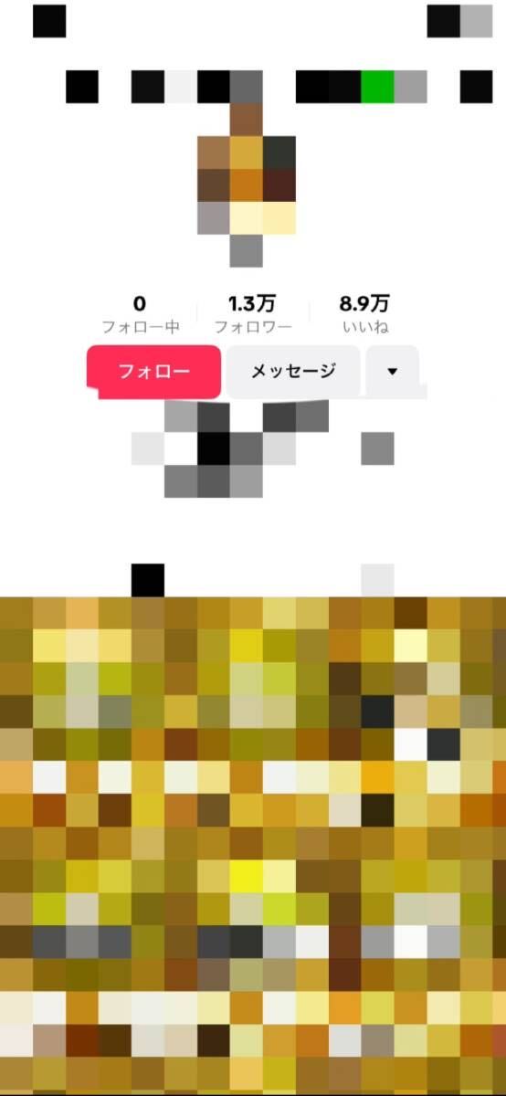 【副業】【在宅ワーク】【顔出し不要】初回１０日のお試し運用動画付TikTokで流行りのあれを量産して稼ぐ方法★作業は１日３０分_画像2