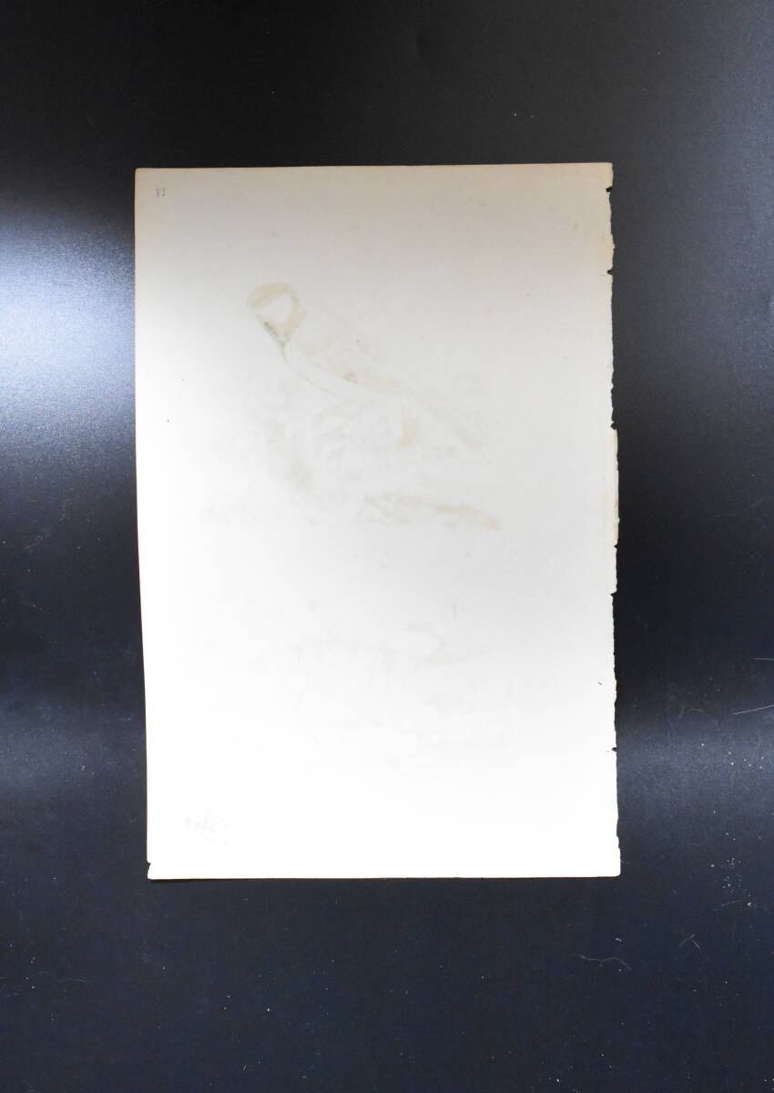 フランスアンティーク 博物画 『鳥類・魚類　Mesange　charbonnere』 多色刷り銅版画_画像8