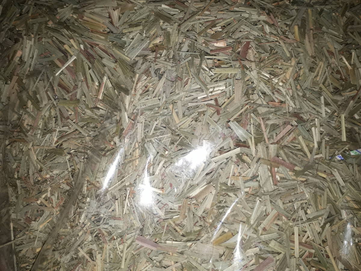 ! lemon grass! dry! herb tea!100g! postage 210 jpy!