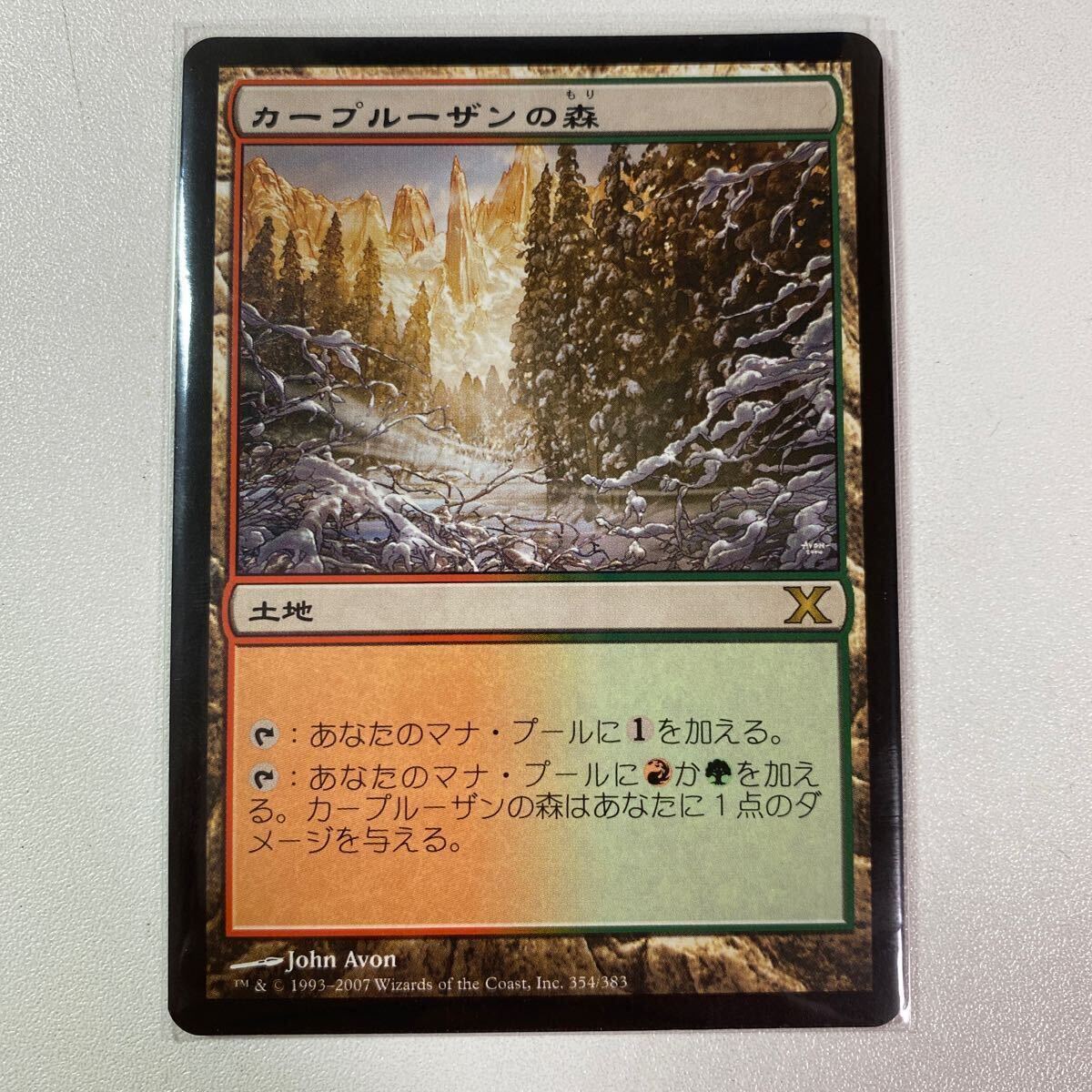 カープルーザンの森　日本語　MTG 10ED_画像1