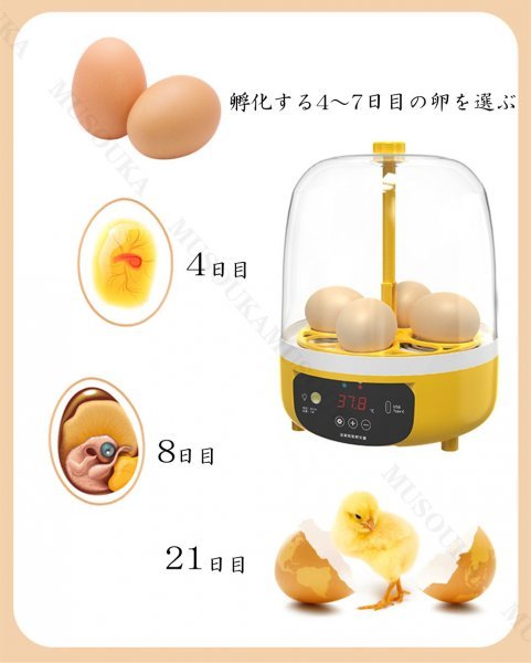 自動孵卵器 孵卵器 孵化器 卵 インキュベーター 自動転卵式 検卵ライト 鳥類 にわとり 鶏 ミニ孵卵機 自動温度制御 湿度保持 デジタル表示の画像3