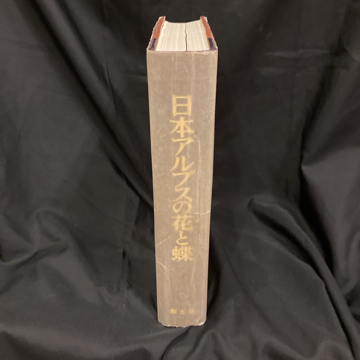 『日本アルプスの花と蝶』 河野昭一・清水建美・藤岡知夫 初版 創土社 定価38000円_画像10