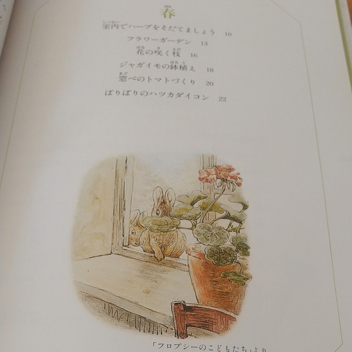 ピーターラビット　本　２冊　料理本とお庭の本　クッキング　ガーデニング