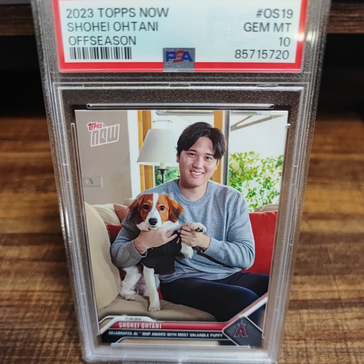 【24時間限定発売】TOPPS NOW OS19 大谷翔平 MVP デコピン 犬 カード トレカ エンゼルス ドジャース shohei ohtani_画像1